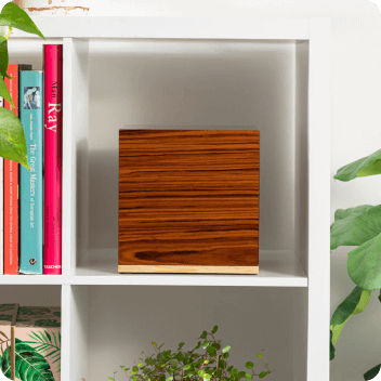 Test with two options