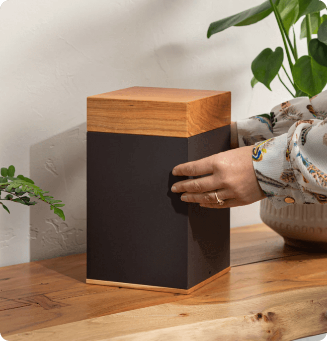 Test with two options