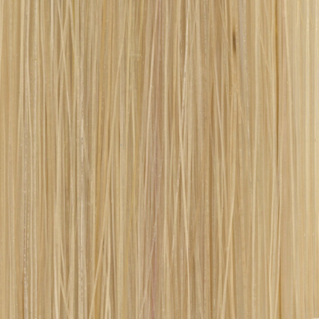 #10 Natural Beige Blonde Tape in Hair Extensions - 10 Pieces - SDX. Tape in Hair Extensions
