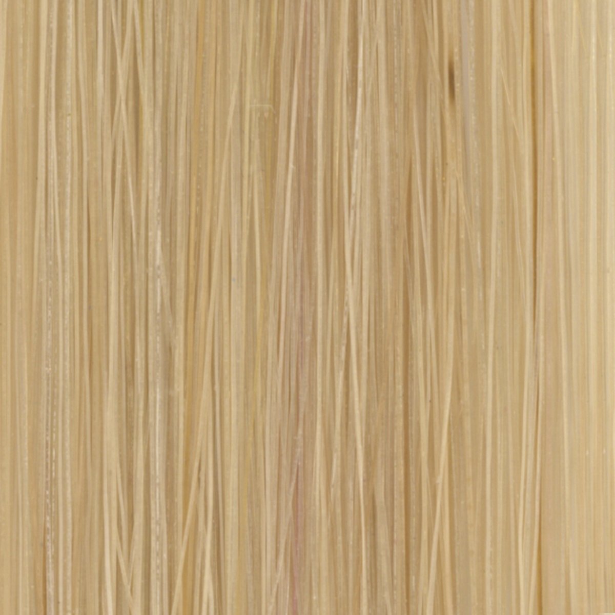 #10 Natural Beige Blonde Tape in Hair Extensions - 10 Pieces - SDX. Tape in Hair Extensions