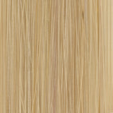 #10 Natural Beige Blonde Tape in Hair Extensions - 10 Pieces