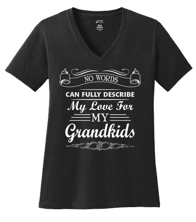 No Words Can Describe Love For Grandkids T-shirt