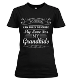 No Words Can Describe Love For Grandkids T-shirt